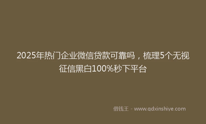 2025年热门企业微信贷款可靠吗，梳理5个无视征信黑白100%秒下平台
