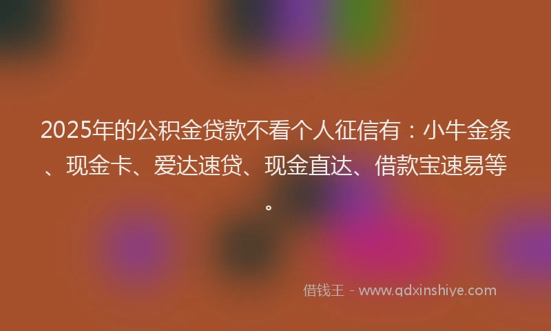 2025年的公积金贷款不看个人征信有：小牛金条、现金卡、爱达速贷、现金直达、借款宝速易等。