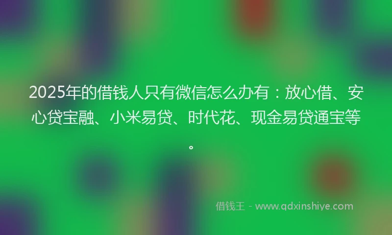 2025年的借钱人只有微信怎么办有：放心借、安心贷宝融、小米易贷、时代花、现金易贷通宝等。