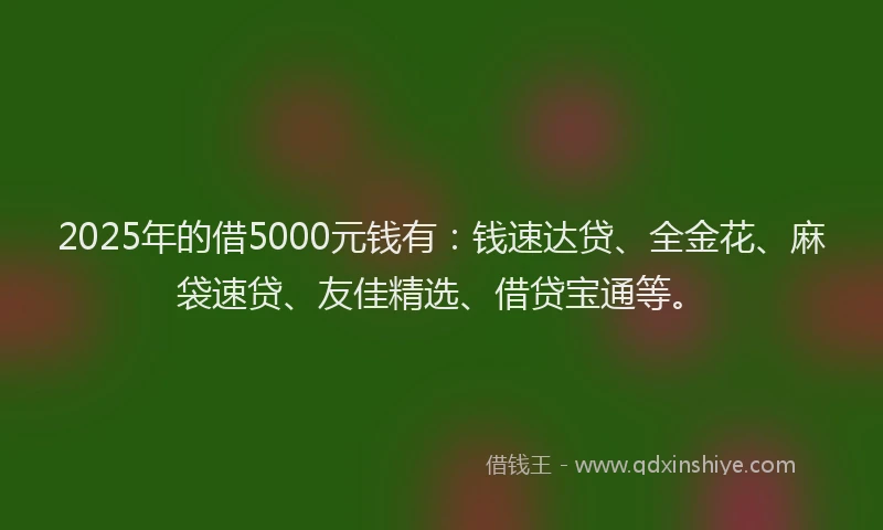 2025年的借5000元钱有：钱速达贷、全金花、麻袋速贷、友佳精选、借贷宝通等。