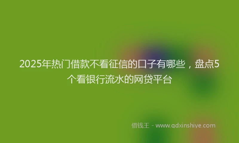 2025年热门借款不看征信的口子有哪些，盘点5个看银行流水的网贷平台