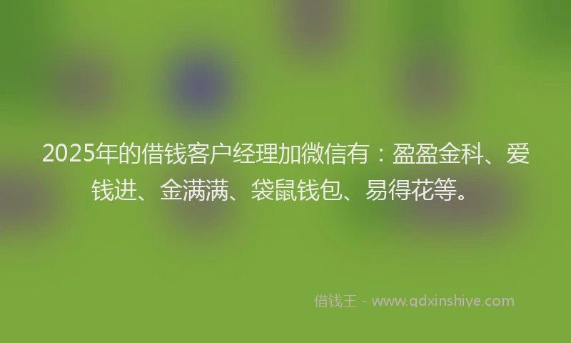 2025年的借钱客户经理加微信有：盈盈金科、爱钱进、金满满、袋鼠钱包、易得花等。