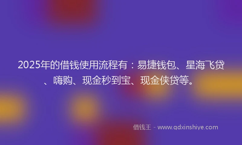 2025年的借钱使用流程有：易捷钱包、星海飞贷、嗨购、现金秒到宝、现金侠贷等。