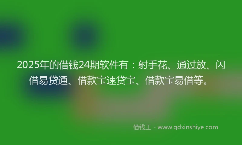 2025年的借钱24期软件有：射手花、通过放、闪借易贷通、借款宝速贷宝、借款宝易借等。