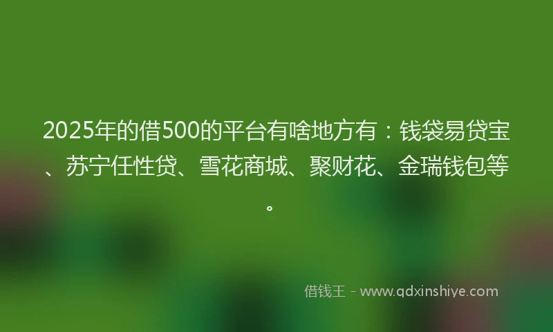 2025年的借500的平台有啥地方有：钱袋易贷宝、苏宁任性贷、雪花商城、聚财花、金瑞钱包等。