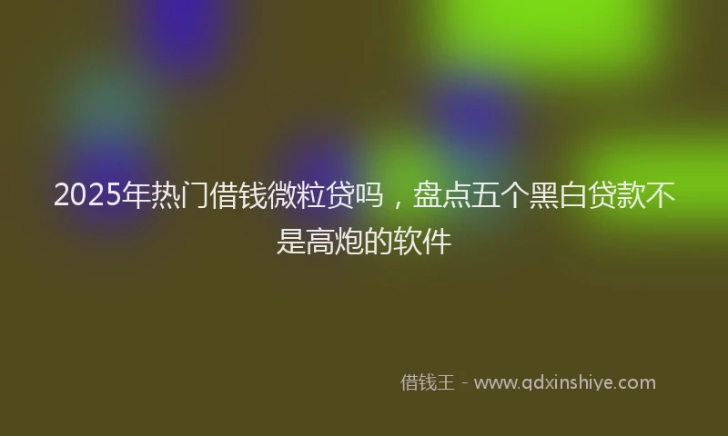 2025年热门借钱微粒贷吗，盘点五个黑白贷款不是高炮的软件