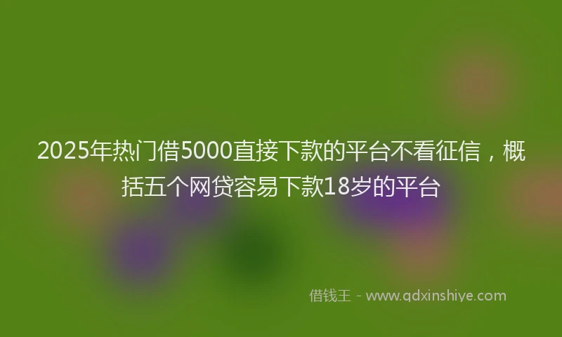 2025年热门借5000直接下款的平台不看征信，概括五个网贷容易下款18岁的平台