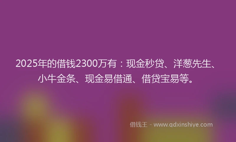 2025年的借钱2300万有：现金秒贷、洋葱先生、小牛金条、现金易借通、借贷宝易等。