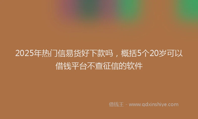 2025年热门信易货好下款吗，概括5个20岁可以借钱平台不查征信的软件