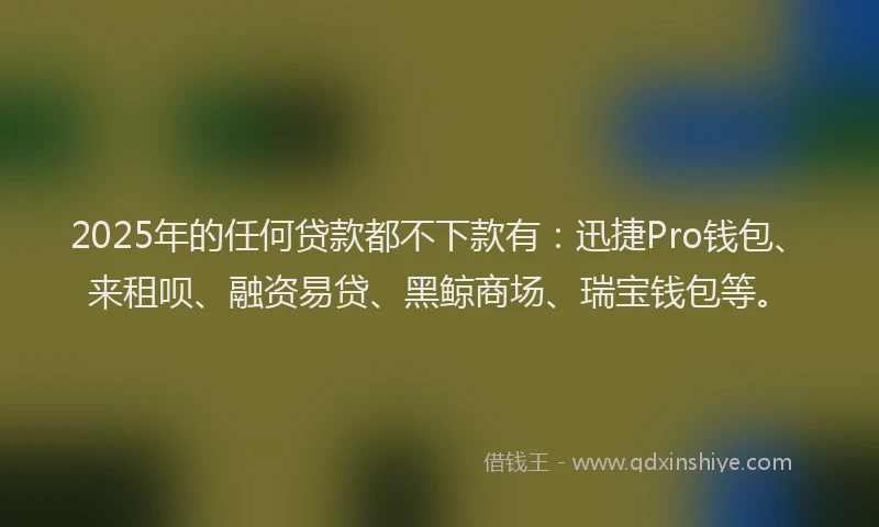 2025年的任何贷款都不下款有：迅捷Pro钱包、来租呗、融资易贷、黑鲸商场、瑞宝钱包等。