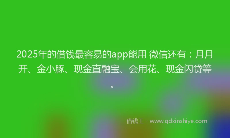 2025年的借钱最容易的app能用 微信还有：月月开、金小豚、现金直融宝、会用花、现金闪贷等。