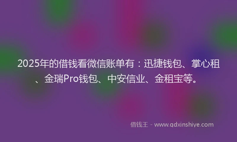 2025年的借钱看微信账单有：迅捷钱包、掌心租、金瑞Pro钱包、中安信业、金租宝等。