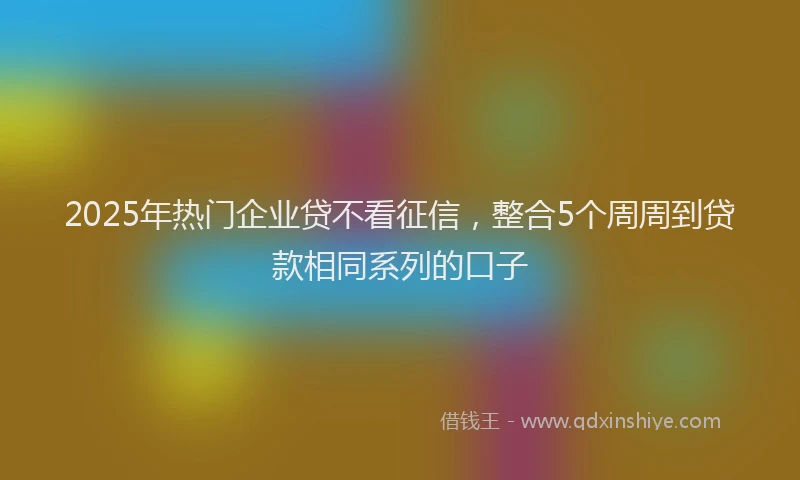 2025年热门企业贷不看征信，整合5个周周到贷款相同系列的口子