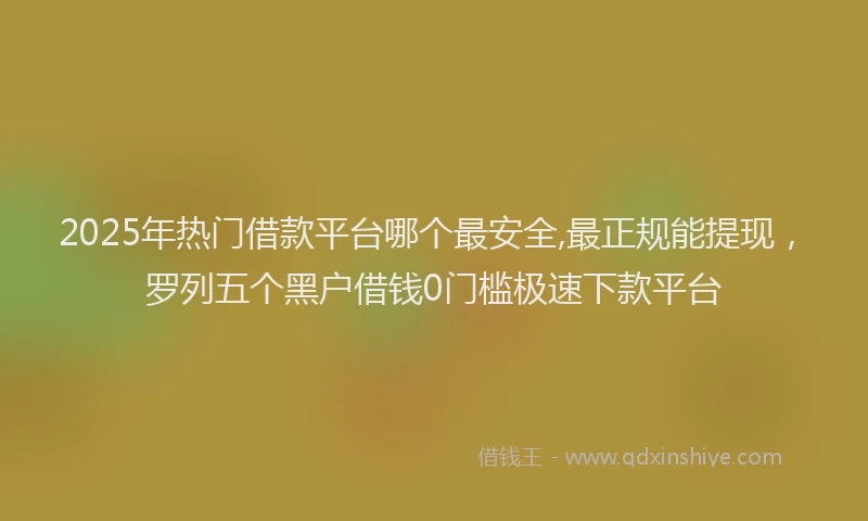 2025年热门借款平台哪个最安全,最正规能提现，罗列五个黑户借钱0门槛极速下款平台