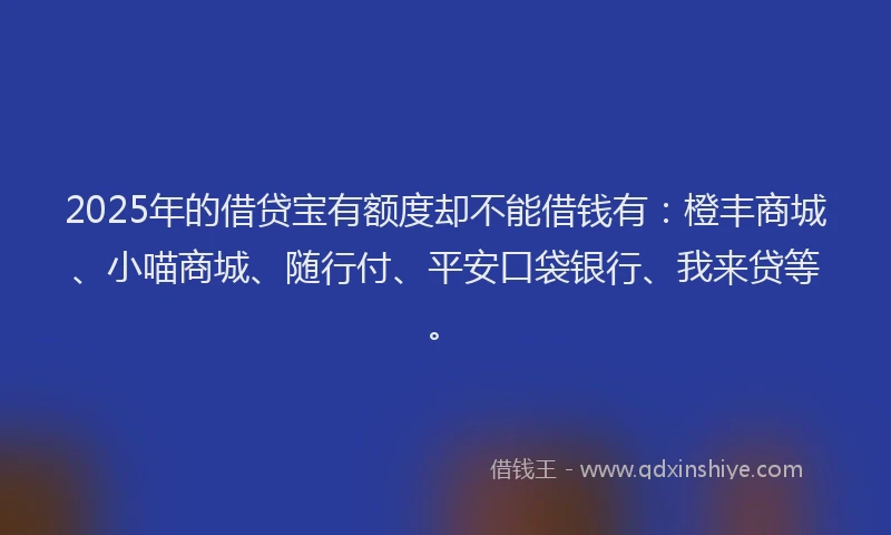 2025年的借贷宝有额度却不能借钱有：橙丰商城、小喵商城、随行付、平安口袋银行、我来贷等。