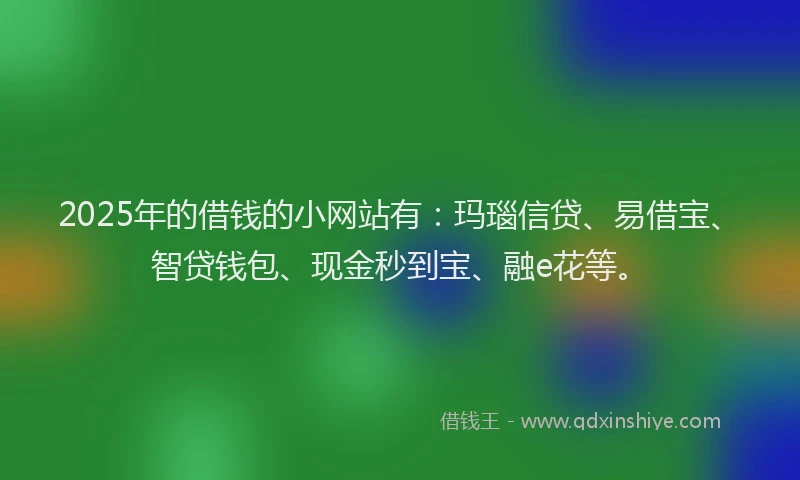 2025年的借钱的小网站有：玛瑙信贷、易借宝、智贷钱包、现金秒到宝、融e花等。