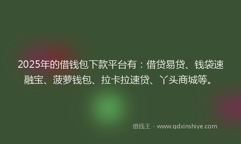 2025年的借钱包下款平台有：借贷易贷、钱袋速融宝、菠萝钱包、拉卡拉速贷、丫头商城等。
