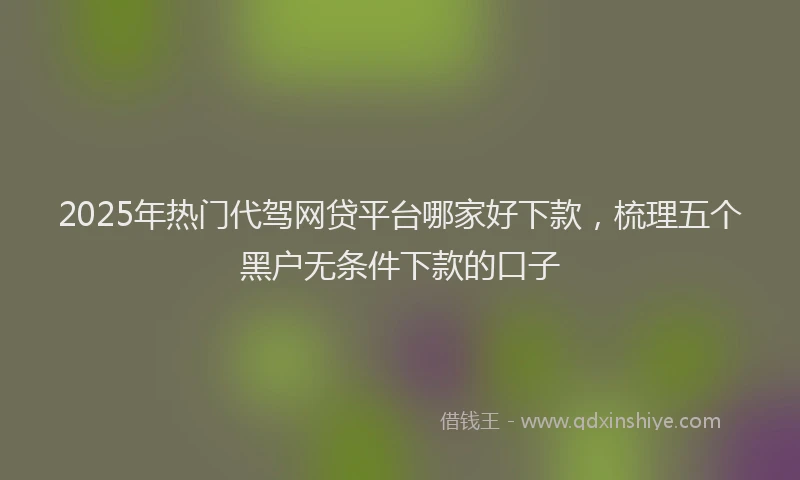 2025年热门代驾网贷平台哪家好下款，梳理五个黑户无条件下款的口子