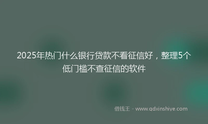 2025年热门什么银行贷款不看征信好，整理5个低门槛不查征信的软件