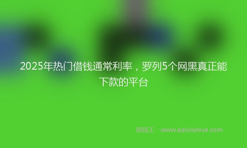 2025年热门借钱通常利率，罗列5个网黑真正能下款的平台