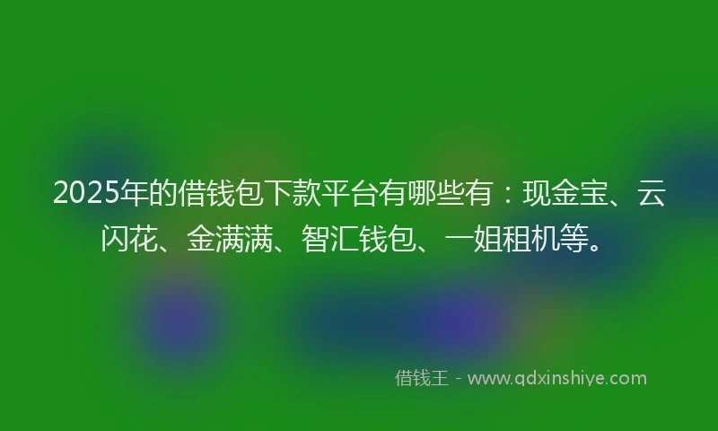 2025年的借钱包下款平台有哪些有：现金宝、云闪花、金满满、智汇钱包、一姐租机等。
