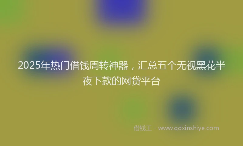 2025年热门借钱周转神器，汇总五个无视黑花半夜下款的网贷平台