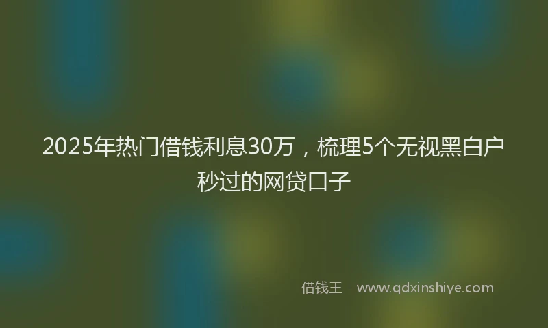 2025年热门借钱利息30万，梳理5个无视黑白户秒过的网贷口子