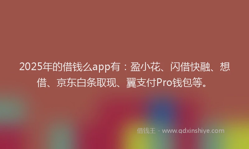 2025年的借钱么app有：盈小花、闪借快融、想借、京东白条取现、翼支付Pro钱包等。