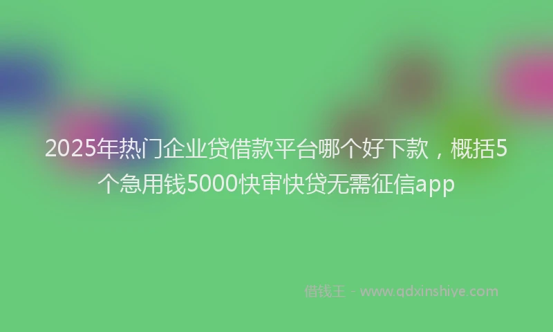 2025年热门企业贷借款平台哪个好下款，概括5个急用钱5000快审快贷无需征信app