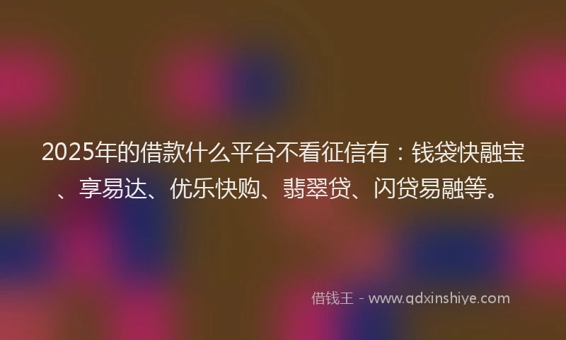 2025年的借款什么平台不看征信有：钱袋快融宝、享易达、优乐快购、翡翠贷、闪贷易融等。
