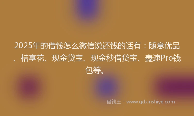2025年的借钱怎么微信说还钱的话有：随意优品、桔享花、现金贷宝、现金秒借贷宝、鑫速Pro钱包等。