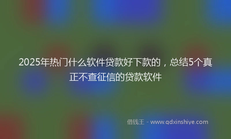 2025年热门什么软件贷款好下款的，总结5个真正不查征信的贷款软件