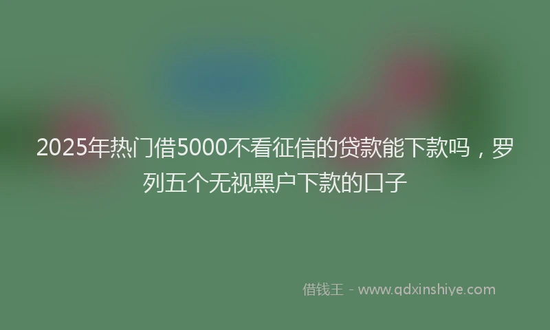 2025年热门借5000不看征信的贷款能下款吗，罗列五个无视黑户下款的口子