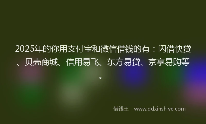 2025年的你用支付宝和微信借钱的有：闪借快贷、贝壳商城、信用易飞、东方易贷、京享易购等。