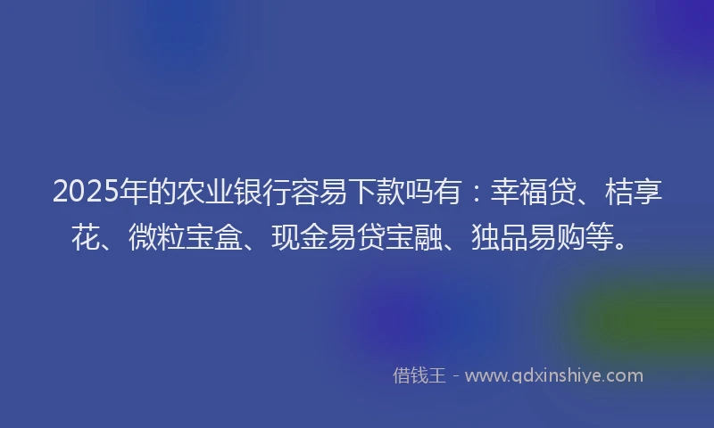 2025年的农业银行容易下款吗有：幸福贷、桔享花、微粒宝盒、现金易贷宝融、独品易购等。