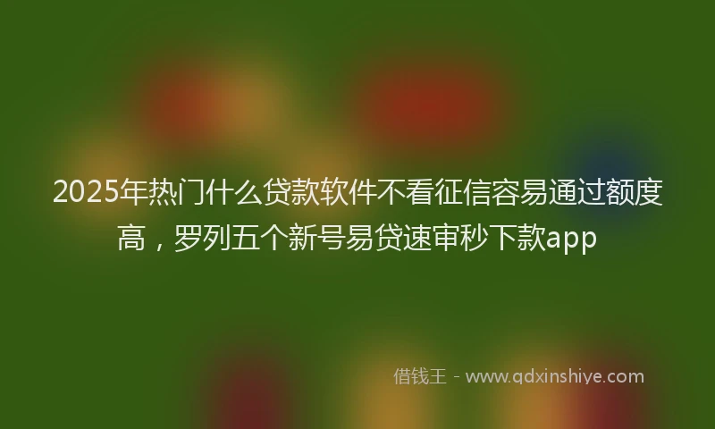 2025年热门什么贷款软件不看征信容易通过额度高，罗列五个新号易贷速审秒下款app