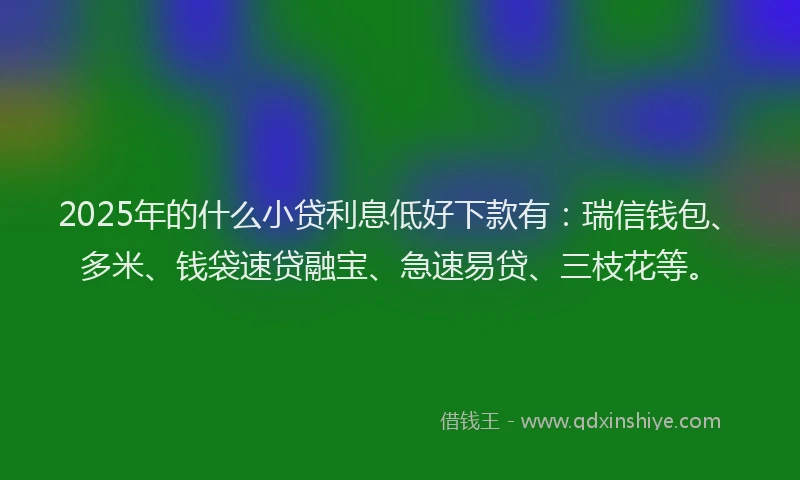 2025年的什么小贷利息低好下款有：瑞信钱包、多米、钱袋速贷融宝、急速易贷、三枝花等。