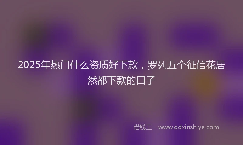 2025年热门什么资质好下款，罗列五个征信花居然都下款的口子