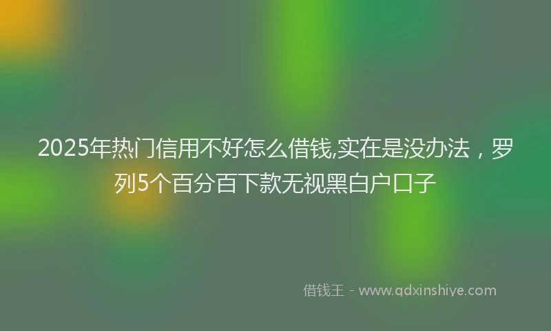 2025年热门信用不好怎么借钱,实在是没办法，罗列5个百分百下款无视黑白户口子