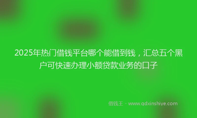 2025年热门借钱平台哪个能借到钱，汇总五个黑户可快速办理小额贷款业务的口子
