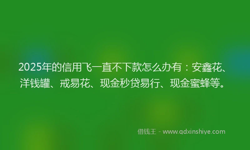 2025年的信用飞一直不下款怎么办有：安鑫花、洋钱罐、戒易花、现金秒贷易行、现金蜜蜂等。