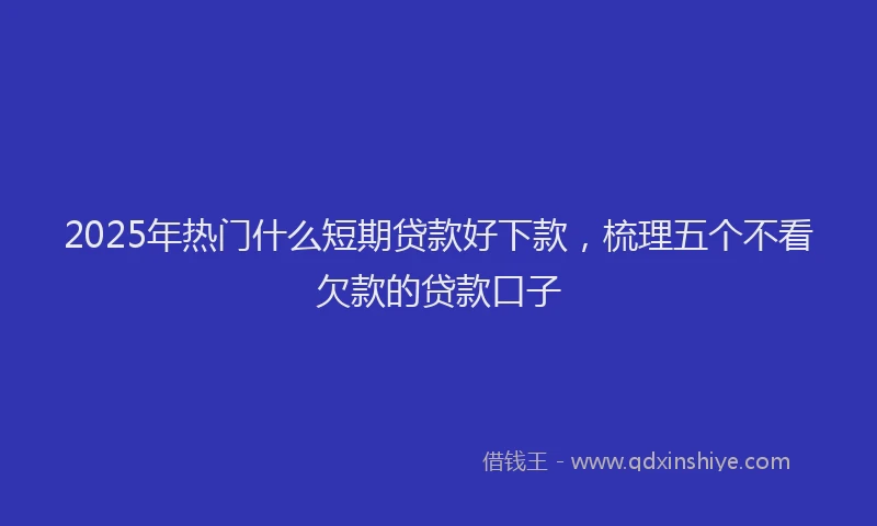 2025年热门什么短期贷款好下款，梳理五个不看欠款的贷款口子