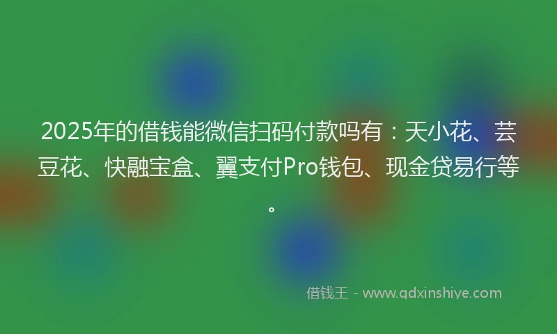 2025年的借钱能微信扫码付款吗有：天小花、芸豆花、快融宝盒、翼支付Pro钱包、现金贷易行等。