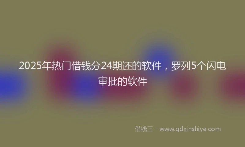 2025年热门借钱分24期还的软件，罗列5个闪电审批的软件