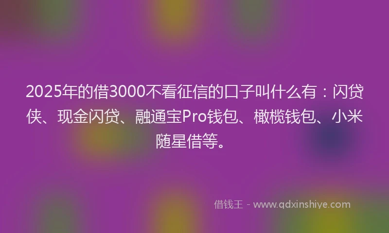 2025年的借3000不看征信的口子叫什么有：闪贷侠、现金闪贷、融通宝Pro钱包、橄榄钱包、小米随星借等。