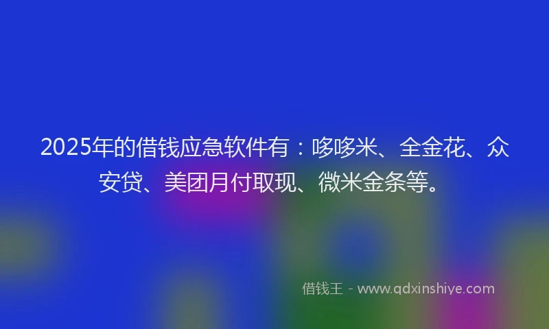 2025年的借钱应急软件有：哆哆米、全金花、众安贷、美团月付取现、微米金条等。