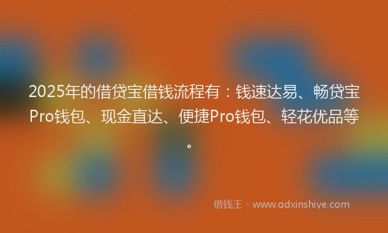 2025年的借贷宝借钱流程有：钱速达易、畅贷宝Pro钱包、现金直达、便捷Pro钱包、轻花优品等。