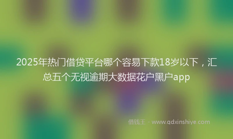 2025年热门借贷平台哪个容易下款18岁以下，汇总五个无视逾期大数据花户黑户app