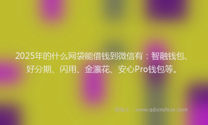 2025年的什么网袋能借钱到微信有：智融钱包、好分期、闪用、金瀛花、安心Pro钱包等。