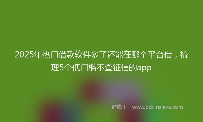 2025年热门借款软件多了还能在哪个平台借，梳理5个低门槛不查征信的app